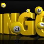 Novità su Bwin: arriva il Bingo Online